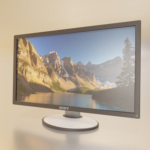 Computer Monitor