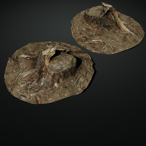 Stump 12