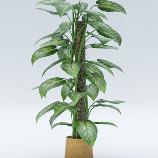 Thumbnail: Plant A