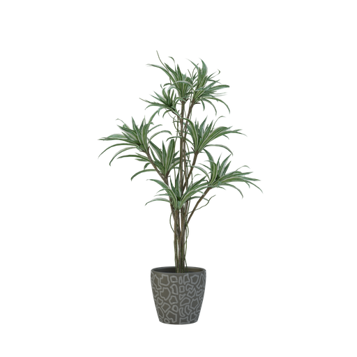 Thumbnail: Plant 59