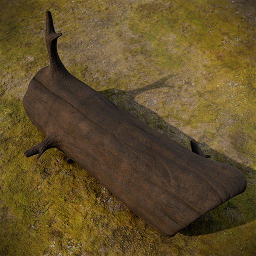 Tree trunk