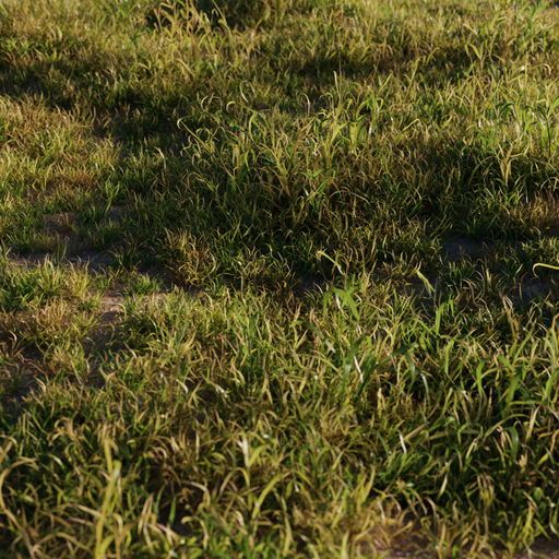 Thumbnail: Wild Grass