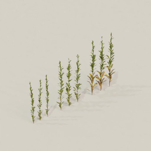 Thumbnail: Small weeds