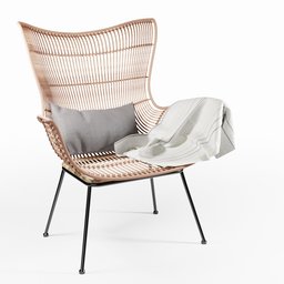 Rattan Egg Wing Chair