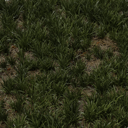 grass 1x1 m basic uncut