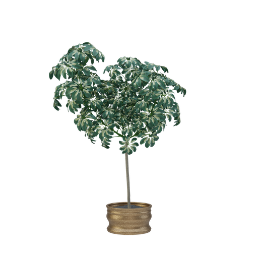 Thumbnail: Plant 22