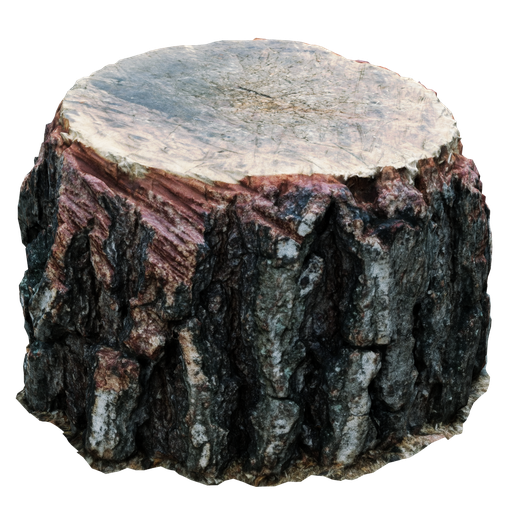 Thumbnail: Stump