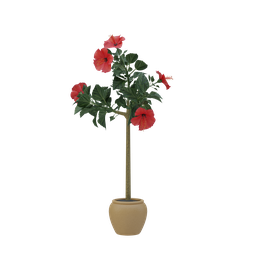 Plant 36