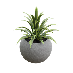Concrete pot with plant