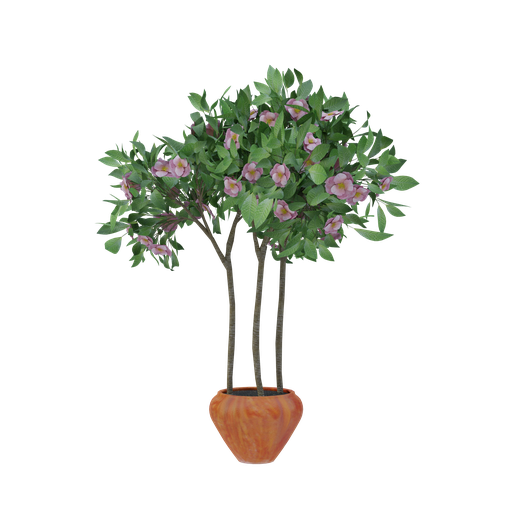Thumbnail: Plant 57