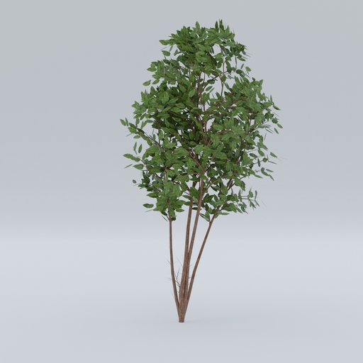 Thumbnail: Gardenplant