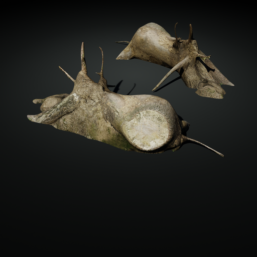 Stump 08