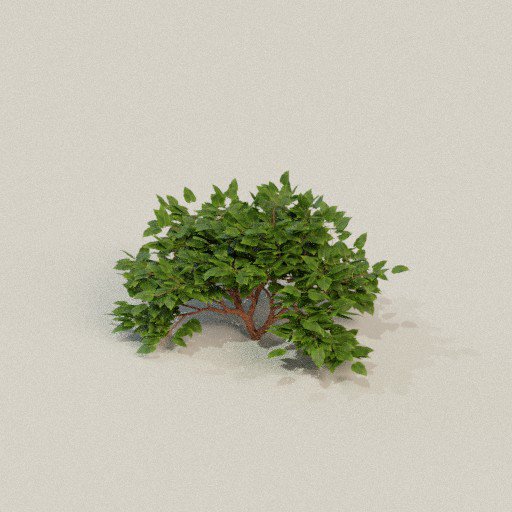Thumbnail: Shrub