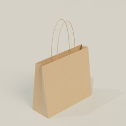 CardBoard Bag