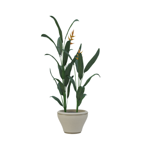 Thumbnail: Plant 56