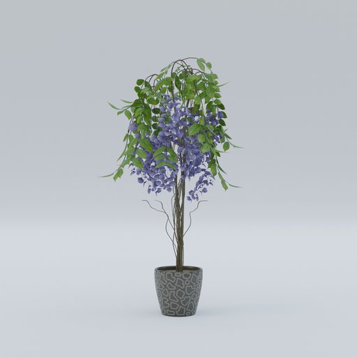 Thumbnail: Plant 65