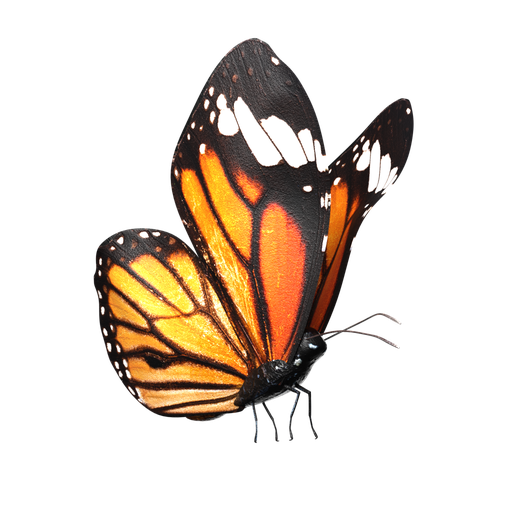 Thumbnail: Butterfly-Rigged