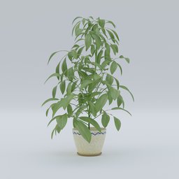 Plant 9