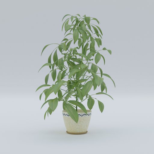 Thumbnail: Plant 9