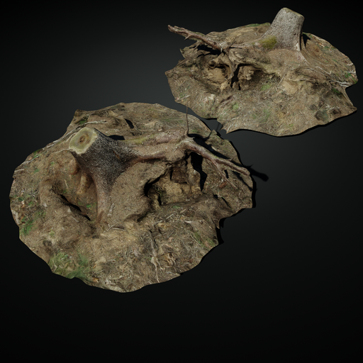Stump 13