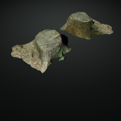 Stump 09